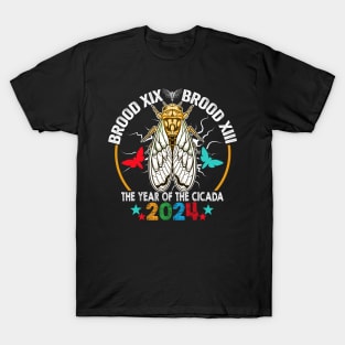 Cicada Tsunami Bugs Brood XIX Brood XIII 13 Year Of The Cicada 2024 T-Shirt